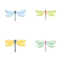 Dragonfly icons set cartoon . Beautiful colorful dragonfly vector