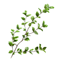 Generated AI green leaves on a branch on transparent background png