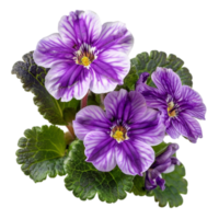 Generated AI purple flowers isolated on transparent background png