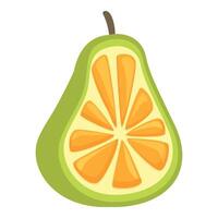 Cross section of citrus pear illustration vector