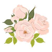 Rose flower bouquet, design element isolated on white background. White and cream roses in flat style. Element for the design of wedding invitations. vector