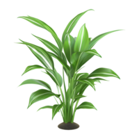 3D Rendering of a Green Plant in Pot on Transparent Background png