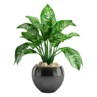 3D Rendering of a Green Plant in Pot on Transparent Background png