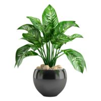 3d le rendu de une vert plante dans pot sur transparent Contexte png