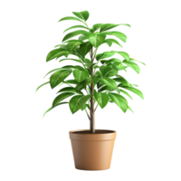 3D Rendering of a Green Plant in Pot on Transparent Background png