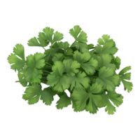 3d le rendu de une vert persil sur transparent Contexte png