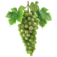 3D Rendering of a Green Grapes Bunch on Transparent Background png