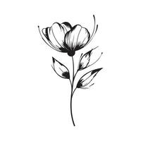 Spring flower illustration on white background vector