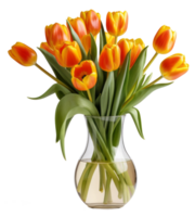 tulips in vase isolated on transparent background png