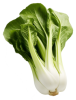 Fresco verde bok choy aislado en un transparente antecedentes un sano y orgánico vegetal png