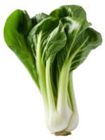 Frais vert bok choy isolé sur une transparent Contexte une en bonne santé et biologique légume png