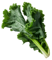 Isolated fresh green kale leaves on a transparent background representing a healthy and organic vegetable png