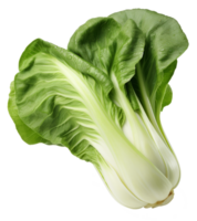 Fresh green bok choy isolated on a transparent background a healthy and organic vegetable png