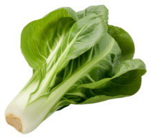 Fresh green bok choy isolated on a transparent background a healthy and organic vegetable png