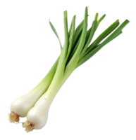 spring onions isolated on transparent background png