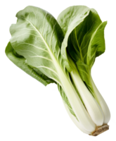 Fresco verde bok choy aislado en un transparente antecedentes un sano y orgánico vegetal png