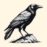 Raven Crow Illustration Halloween Raven Illustration vector