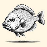 Fish Illustration Engraved Vintage Style vector