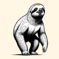 Sloth Standing Illustration Engraved Style vector