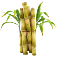 Bamboo Plant on transparent background AI-Generative png