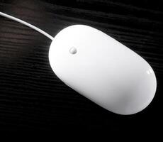 The white mouse for the computer photo