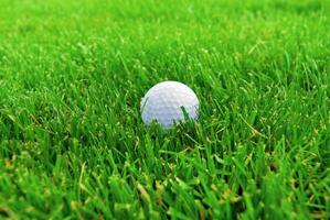 Game in the golf club against the background of the green juicy grass photo