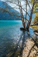 otoño foto después nevada, montaña lago issyk en almaty región, kazajstán. octubre.