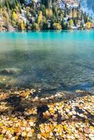 otoño foto después nevada, montaña lago issyk en almaty región, kazajstán. octubre.