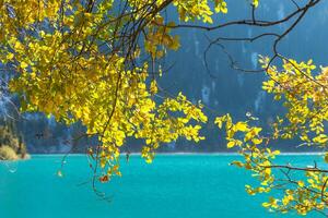 Autumn photo after snowfall, mountain lake Issyk in Almaty region, Kazakhstan. October.
