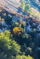 Issyk lake. Almaty Region photo