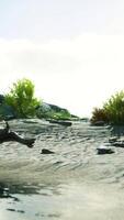atlantic ocean and the granite rocks on the coast video