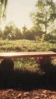 Vintage bench in the park under the morning rays of the sun video