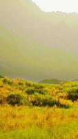 áspero árido montanha panorama com escasso vegetação e muitos pedras video