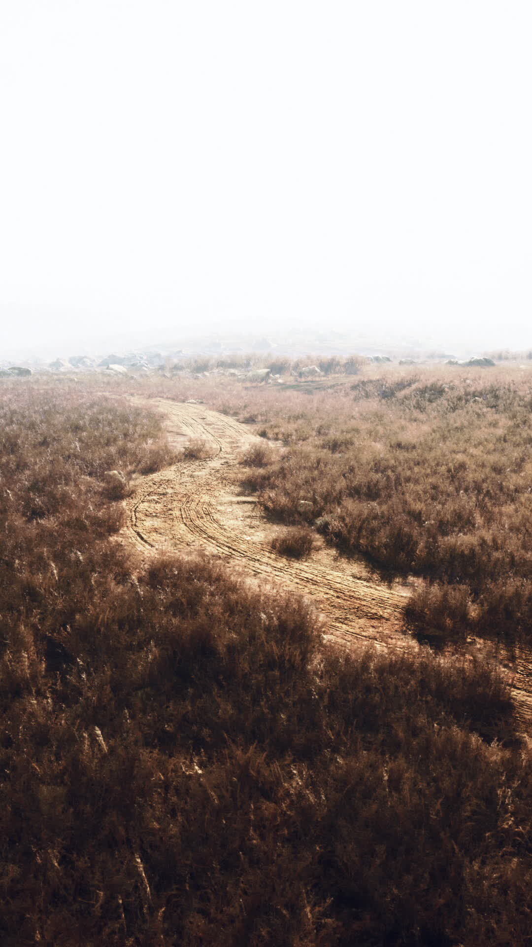 Path To Success Stock Video Footage for Free Download