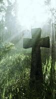 weather-beaten grave marker in the tropical forest video