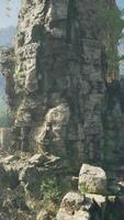 rocoso paisaje con arboles y rocas en el primer plano, capturado en China video