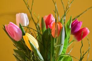 primavera antecedentes con flores hermosa vistoso tulipán en un soleado día. naturaleza fotografía en primavera tiempo. foto