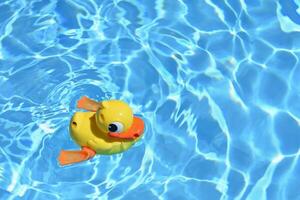 Yellow Rubber Duck. Yellow rubber duck in the home pool in the summer photo