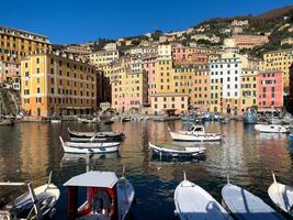 Boats and houses in Camoglia Italy. Town in rocks. Seaside cove with history of fishing village. photo