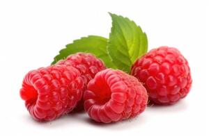 Four red ripe fresh raspberries with raspberry leaves on isolated white background. Organic farm food, fresh market, supermarket, healthy products. photo