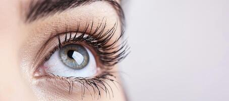 Close up of a beautiful womans eye with long eyelashes, white background. photo