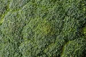 Fresh raw green broccoli in the form of a branch as an ingredient for cooking food at home photo