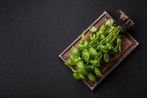 Fresco hierbas albahaca en el formar de un arbusto como un ingrediente para Cocinando a hogar foto