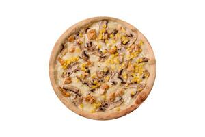 Delicious pizza with corn, cheese, tomatoes and mushrooms, salt, spices and herbs photo