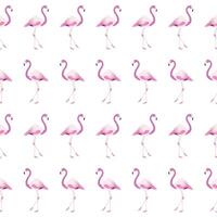 White Flamingo Pattern Background vector