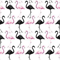 Flamingo Seamless Pattern Background Design Black and Pink vector