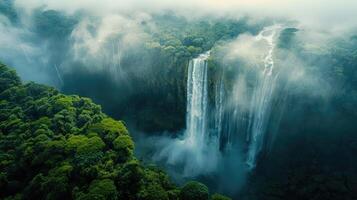 waterfall in the jungle photo