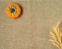 Wheat Ears on the Wooden Table. Sheaf of Wheat over Wood Background. photo