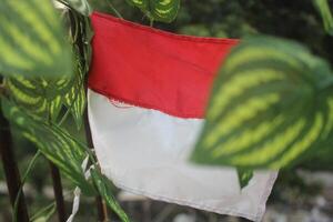 The Indonesian flag is attached to metal spokes and blocks some of the sunlight to make the image perfect. photo