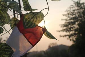 el indonesio bandera es adjunto a metal radios y bloques algunos de el luz de sol a hacer el imagen Perfecto. foto